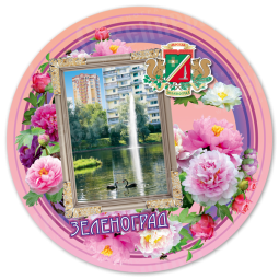 Тарелка «Зеленоград»